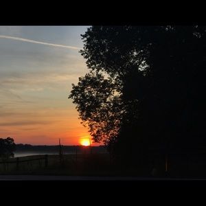 Meet your Posher, Dina